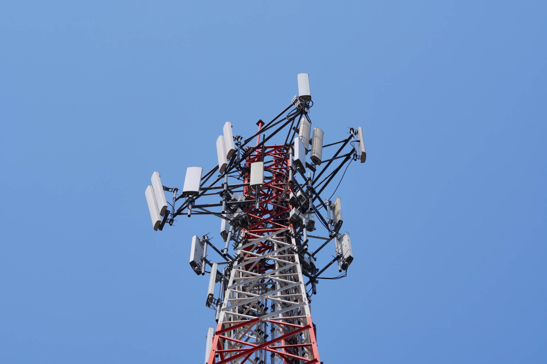 Shutterstock 1383376550