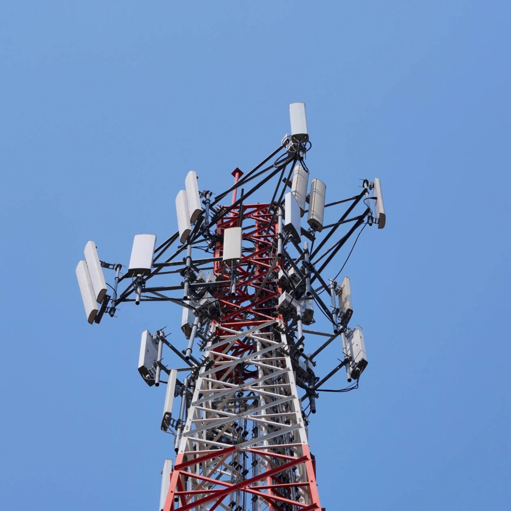 Shutterstock 1383376550