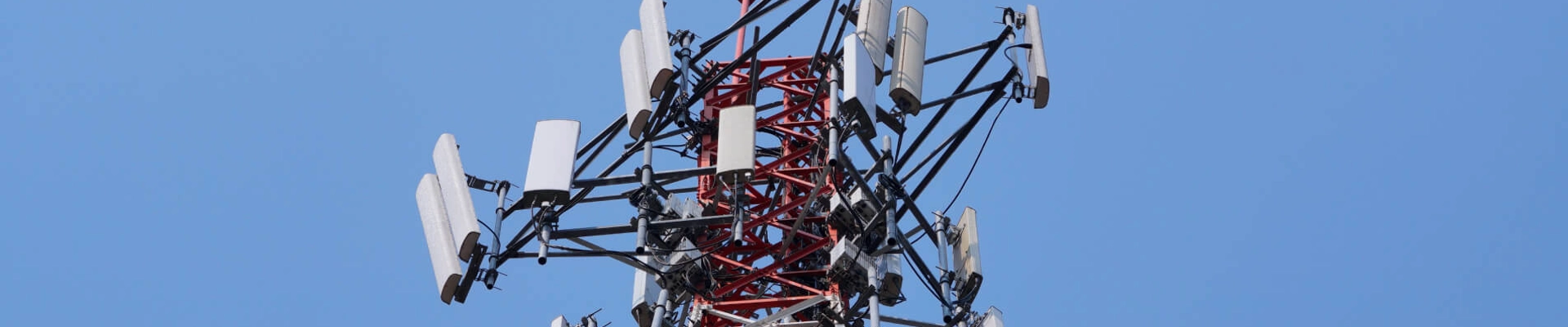 Shutterstock 1383376550