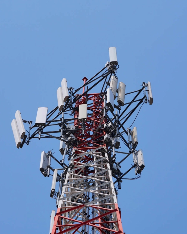 Shutterstock 1383376550