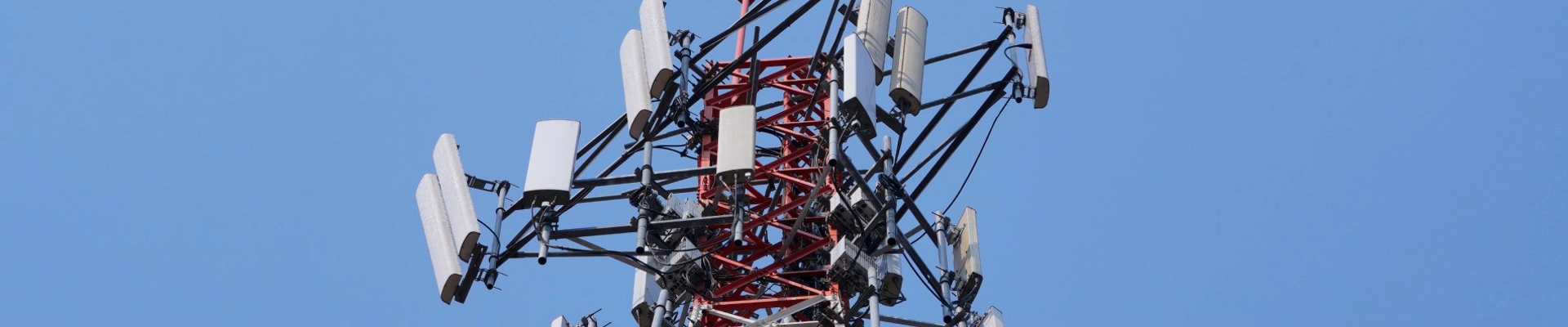 Shutterstock 1383376550