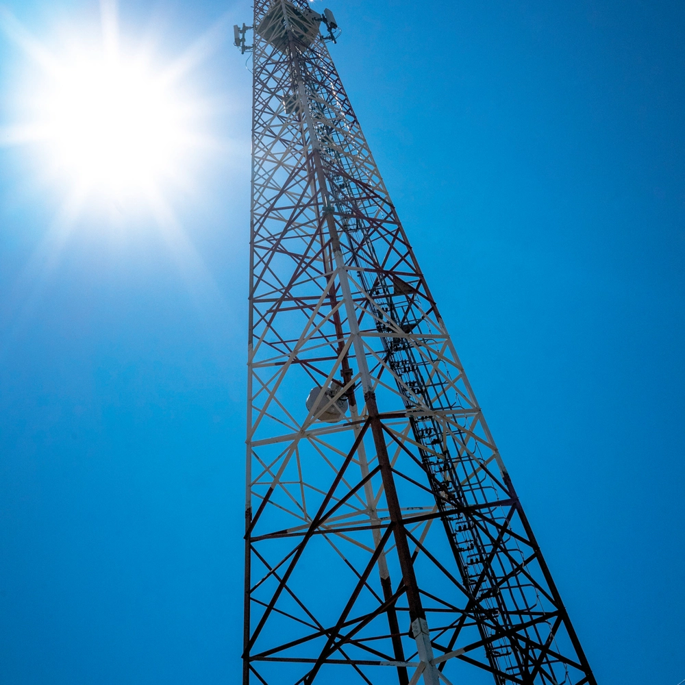 6 10 Investors Shareholder Centre General Meetings 1