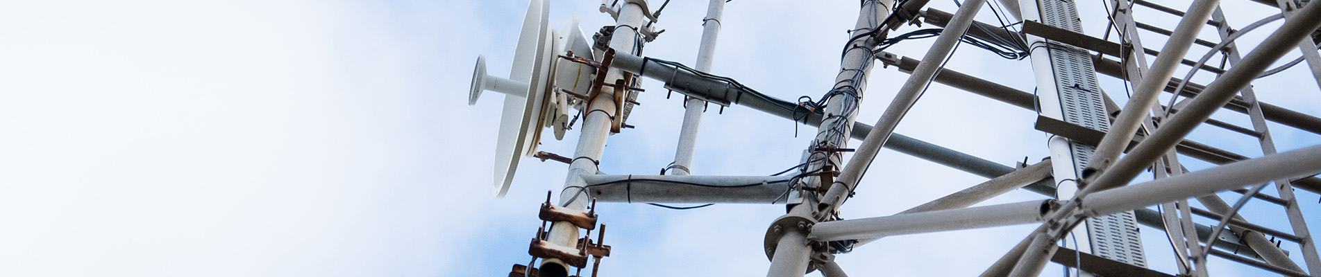 Investment Case Banner