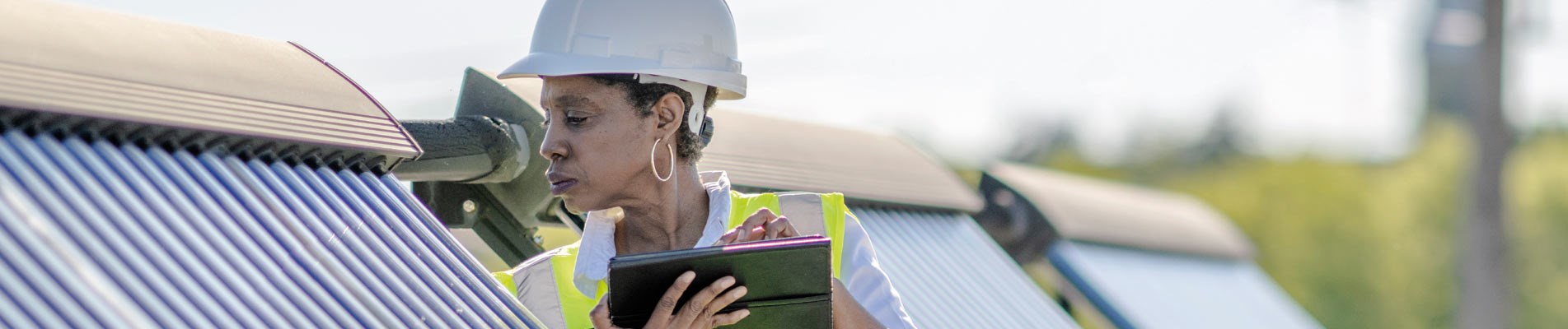 Our Culture Banner 100K