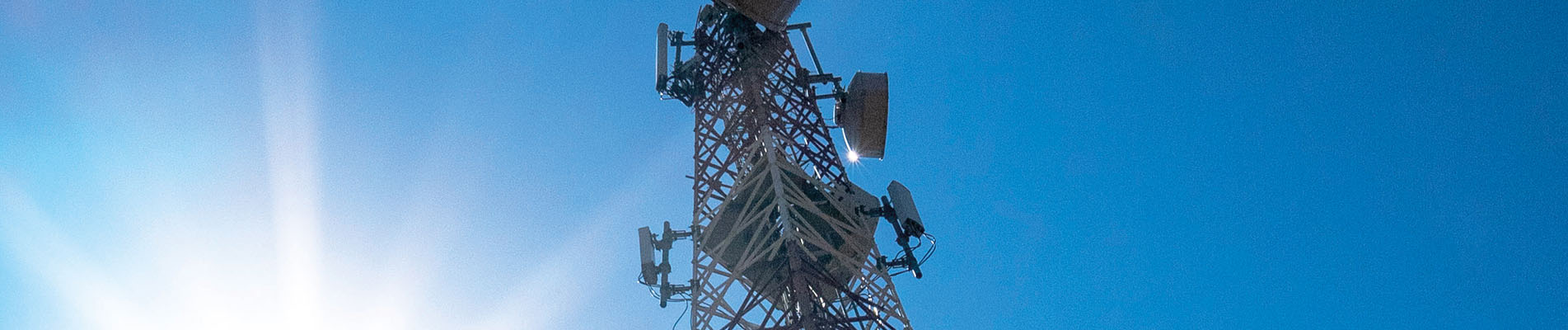 Board Of Directors Banner