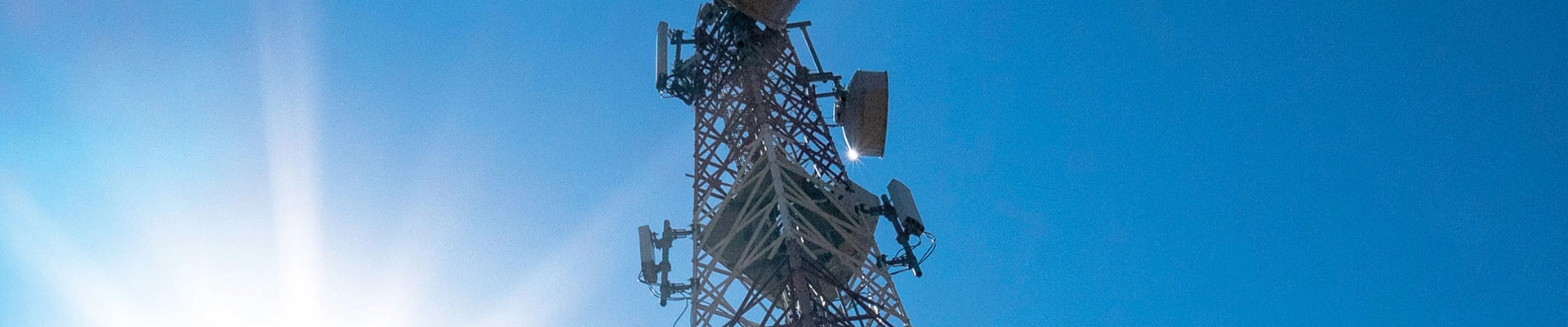 Board Of Directors Banner